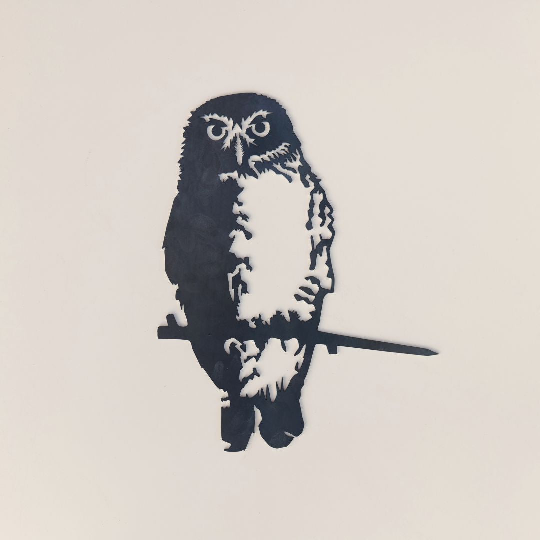 Southern Boobook Owl