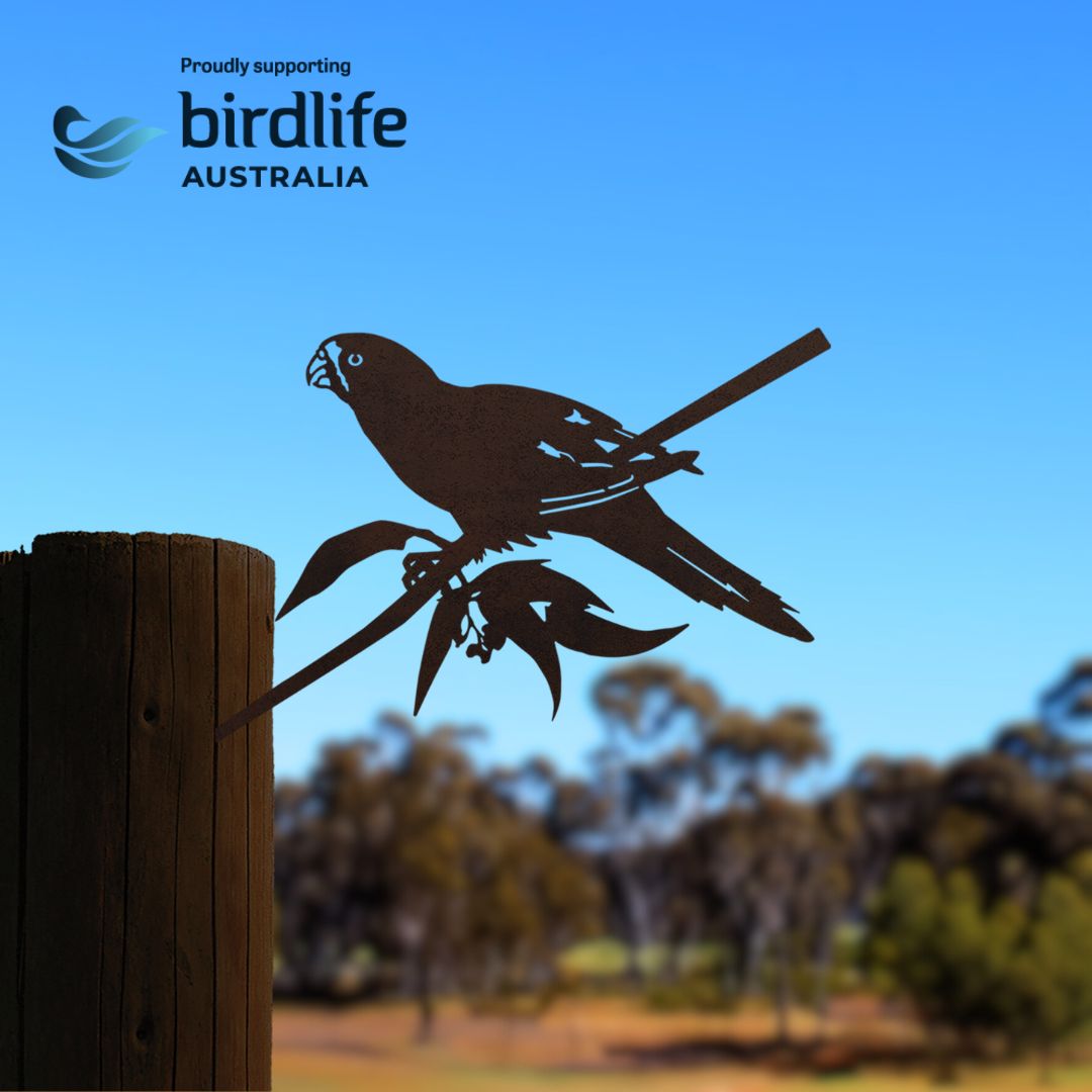 Birdlife x Metalbird - Swift Parrot