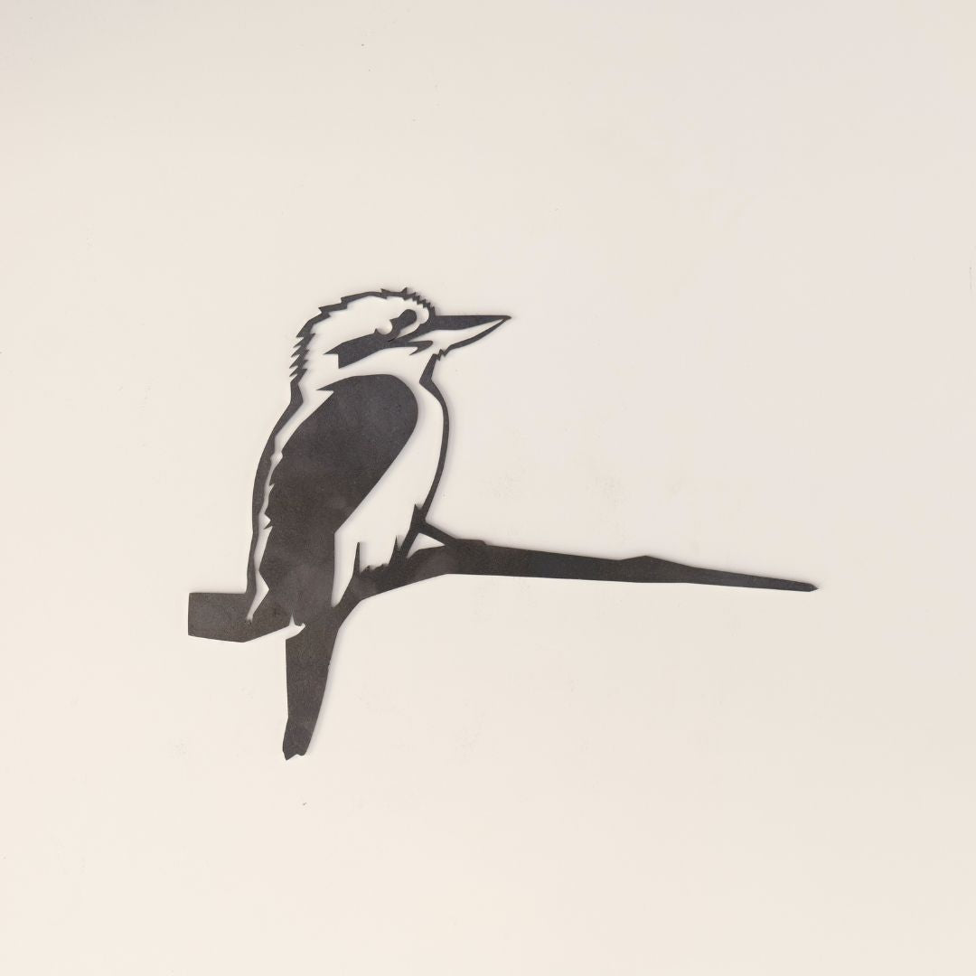 Kookaburra
