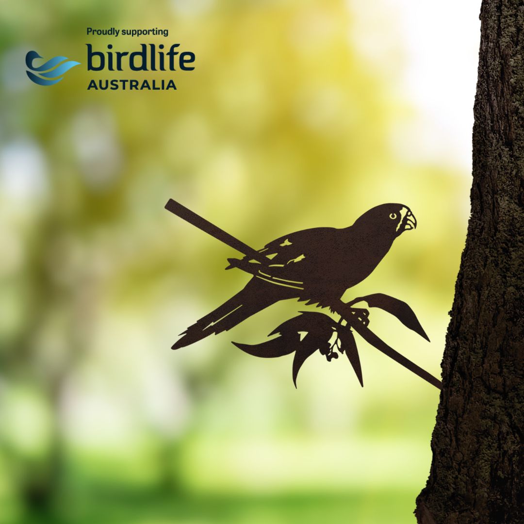Birdlife x Metalbird - Swift Parrot
