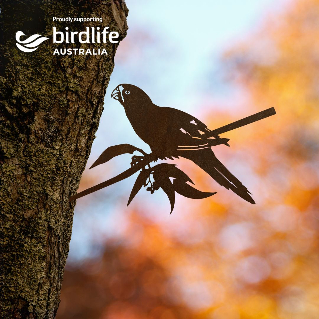Birdlife x Metalbird - Swift Parrot