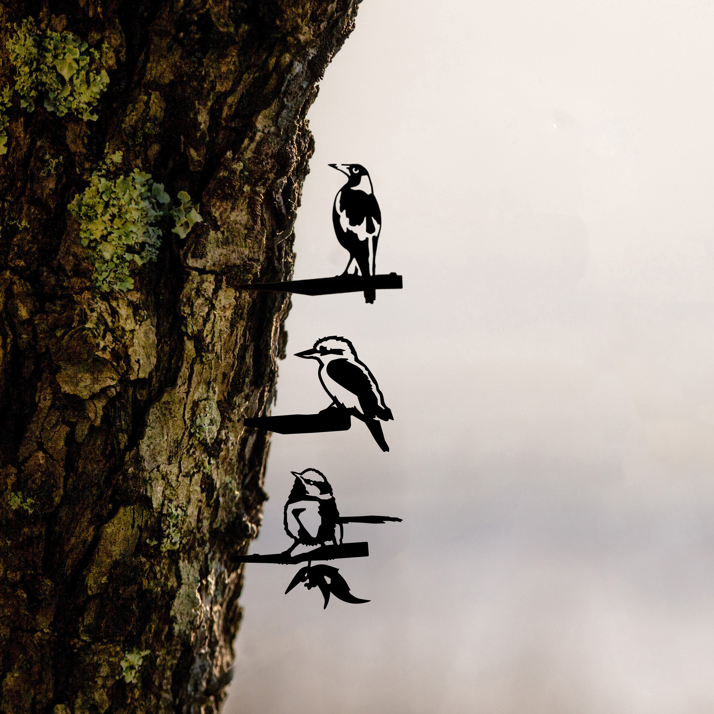 The Baby Bird Bundle by Metalbird Australia features three illustrated birds perched on textured branches, forming a charming silhouette—an ideal premium gift for nature lovers.