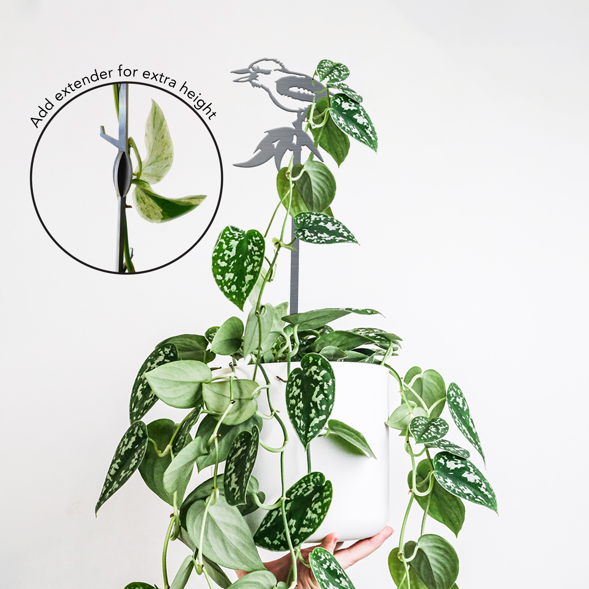 A hand holds a white hanging pot with a trailing plant, supported by the Metalbird Australia Kookaburra Plant Stake in premium gray. An inset shows an extender being added for extra height—elegant yard art for any garden.