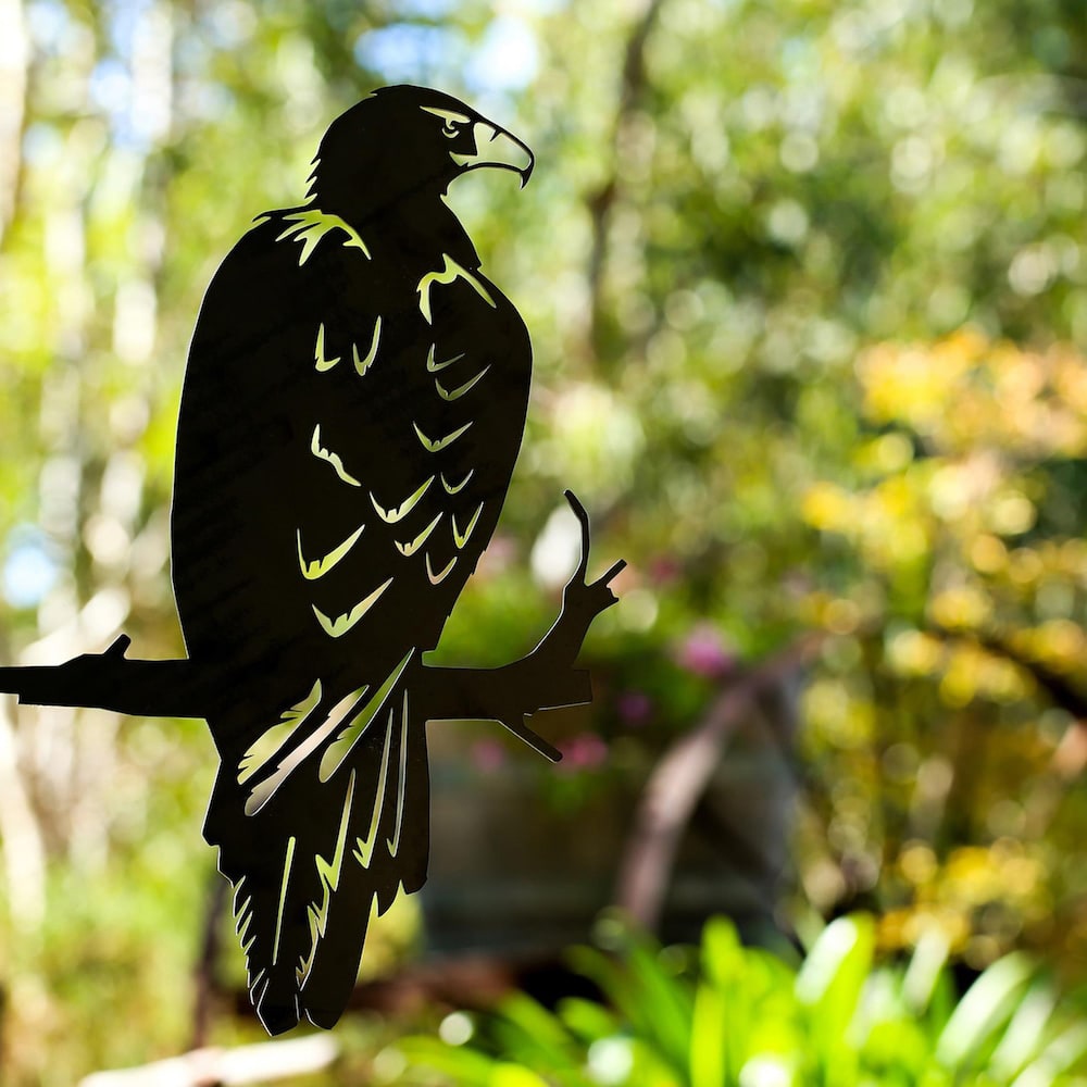 The Wedge-tailed Eagle by Metalbird Australia is a striking metal silhouette of this iconic bird, perched on a branch—ideal as unique yard art or a thoughtful gift for nature lovers.