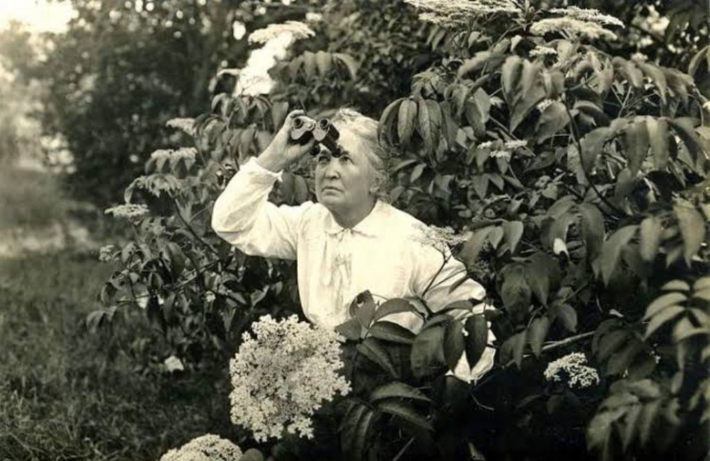 Seven women who have been important in the history of conservation of birdlife