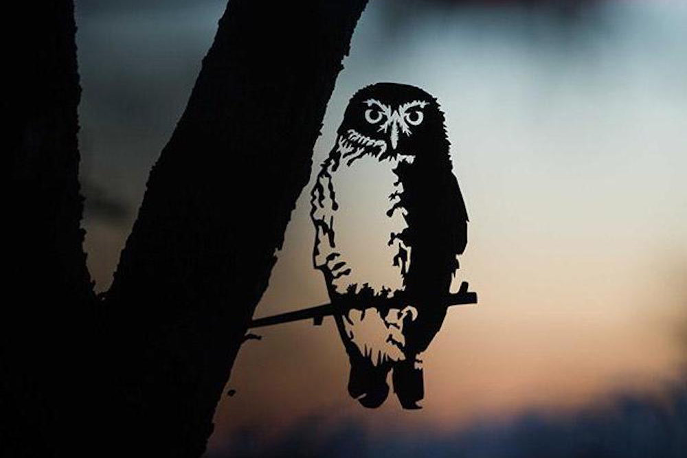 How To Install Your Metalbird