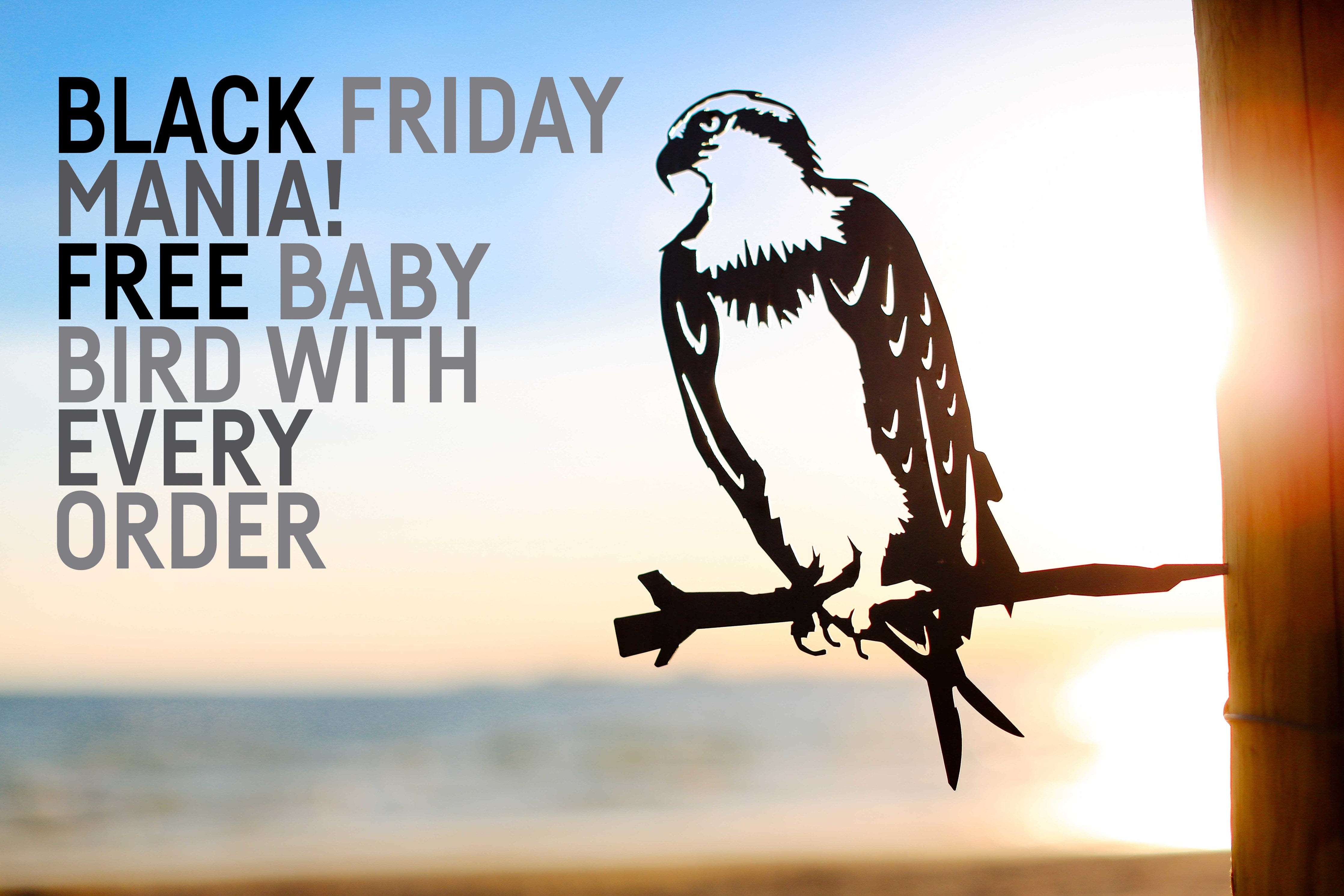 Black Friday/Cyber Monday