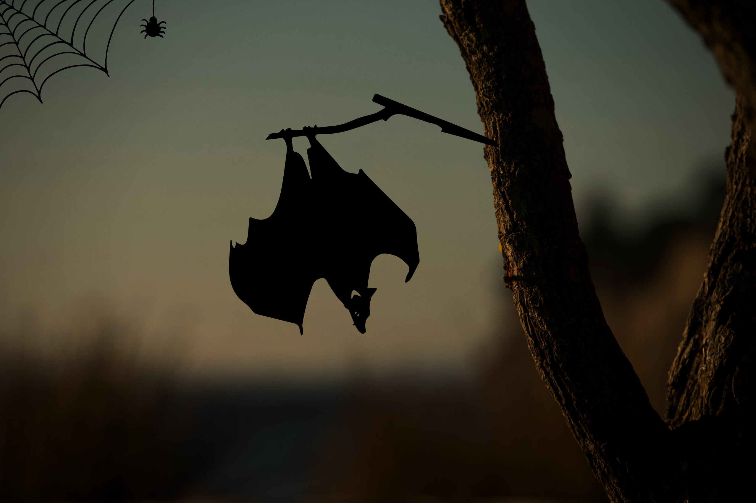 It's Bat-tastic!
