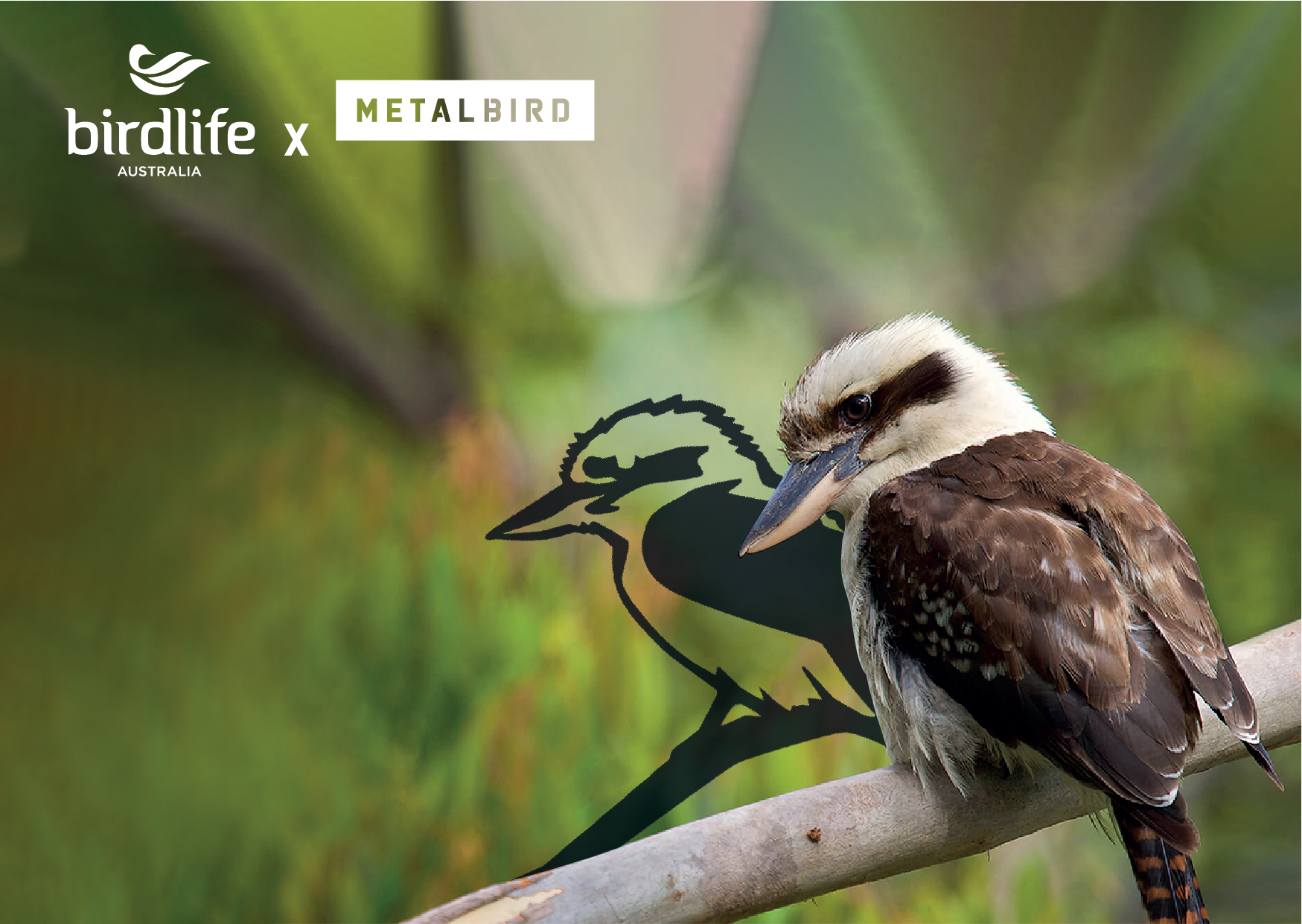 Birdlife x Metalbird
