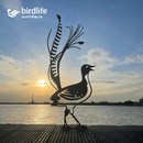A Metalbird Australia Superb Lyrebird silhouette stands as unique yard art on a wooden surface by the water at sunset, with the BirdLife Australia logo in the top left and a scenic sky behind.