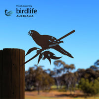 Birdlife x Metalbird - Swift Parrot