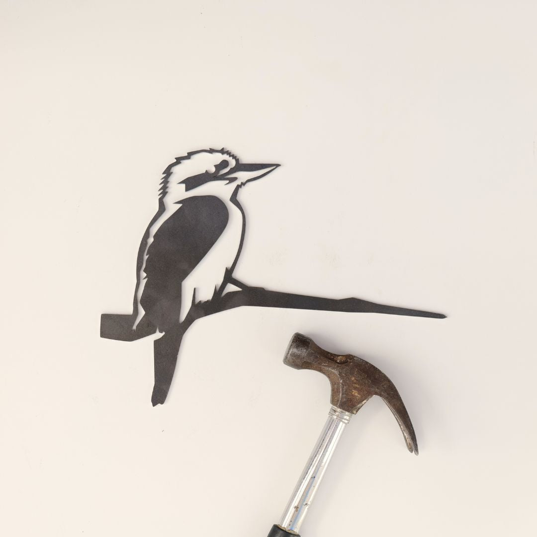 Kookaburra