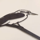 Kookaburra