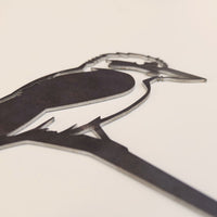Kookaburra