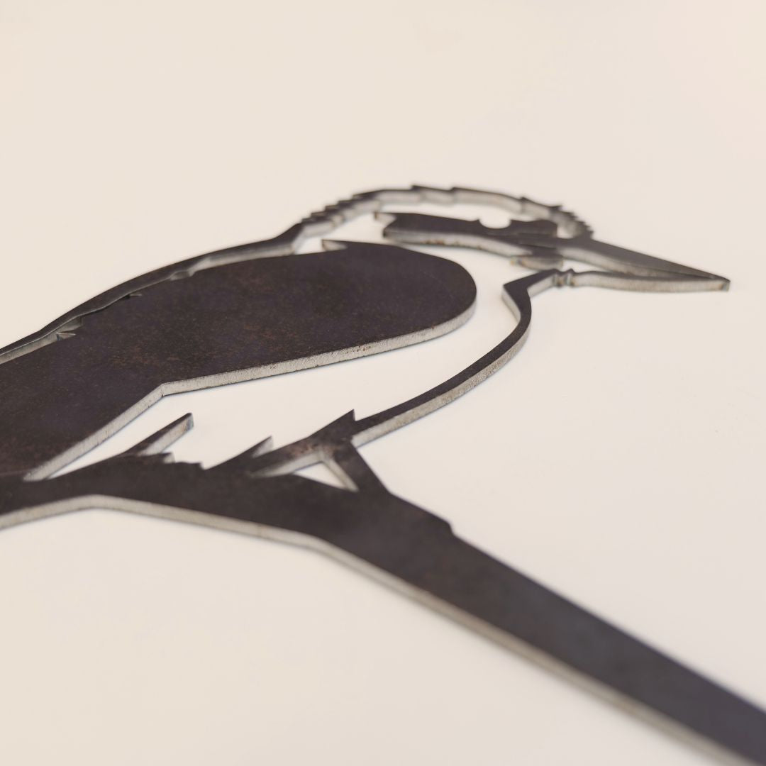 Kookaburra
