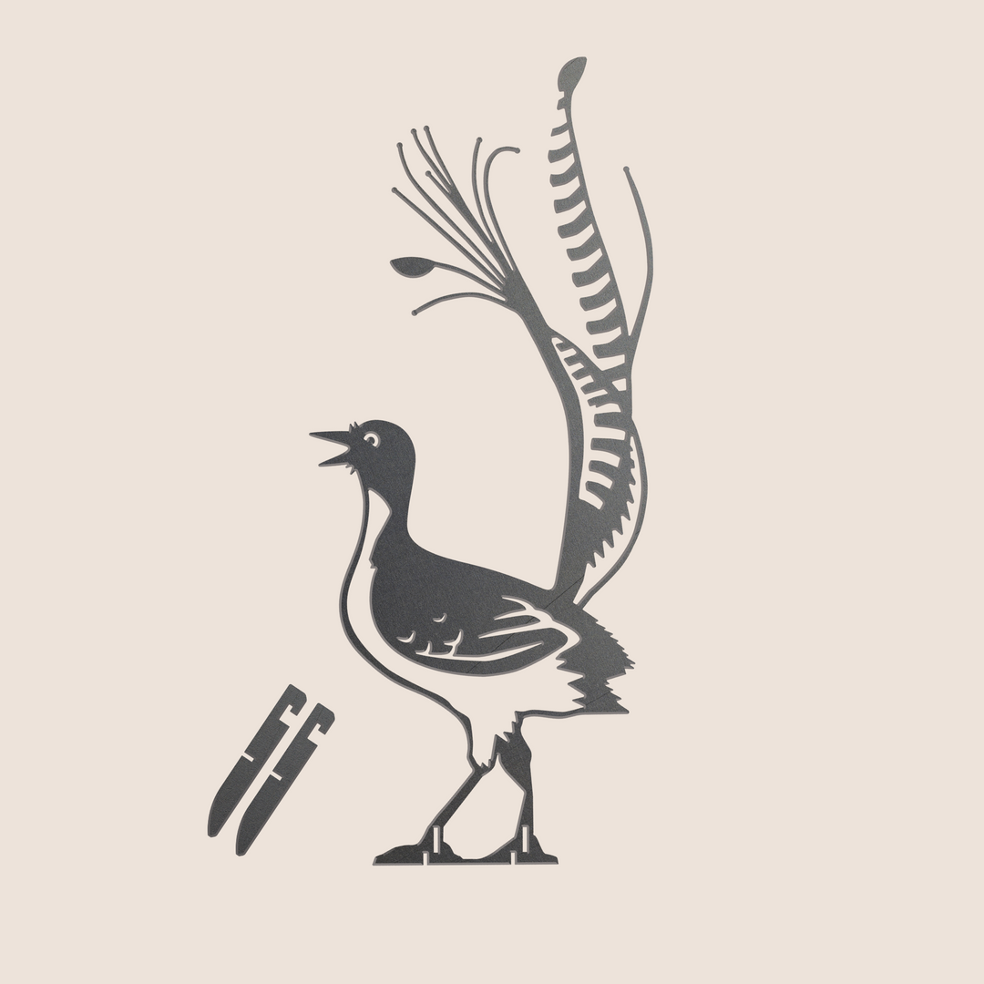 Superb Lyrebird