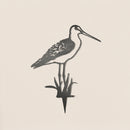 Bar-Tailed Godwit