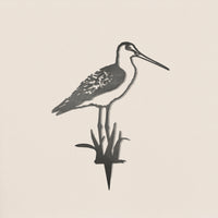 Bar-Tailed Godwit