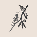 Regent Honeyeater