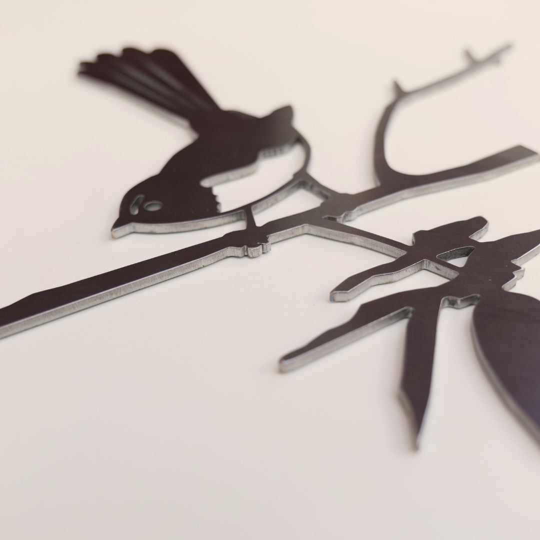 Close-up of the Willie Wagtail’s raised tail, wings and leafy steel branch.