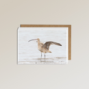 The Metalbird x Birdlife Greeting Card by Metalbird Australia features a curlew with a curved beak standing in shallow water, one wing raised, against a softly blurred background—bird photography inspired by BirdLife Australia.