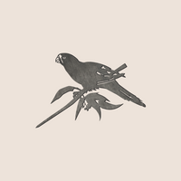 Birdlife x Metalbird - Swift Parrot