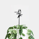 The Metalbird Australia Blue Wren Plant Stake features a decorative black corten steel bird perched on a branch, set in a premium potted trailing plant with green and white leaves—an ideal stylish gift.