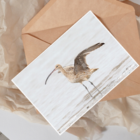 The Metalbird x Birdlife Greeting Card by Metalbird Australia features a curlew with a long, curved beak in shallow water, set on crumpled brown paper beside an open kraft envelope.