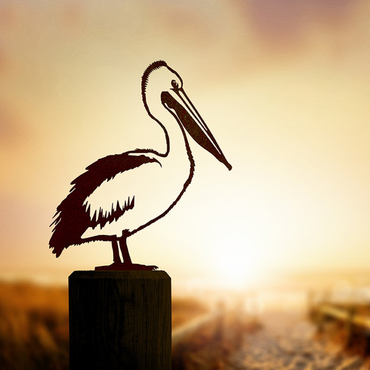 Pelican
