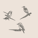 Baby Bird Bundle