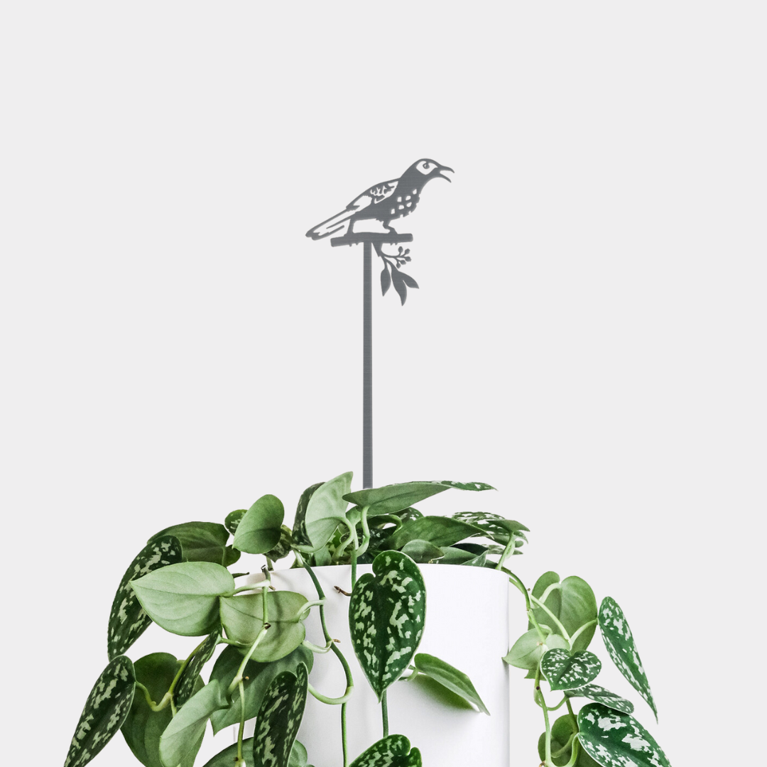 Regent Honeyeater Plant Stake