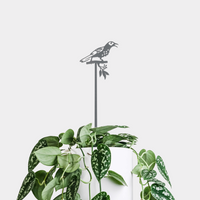 Regent Honeyeater Plant Stake