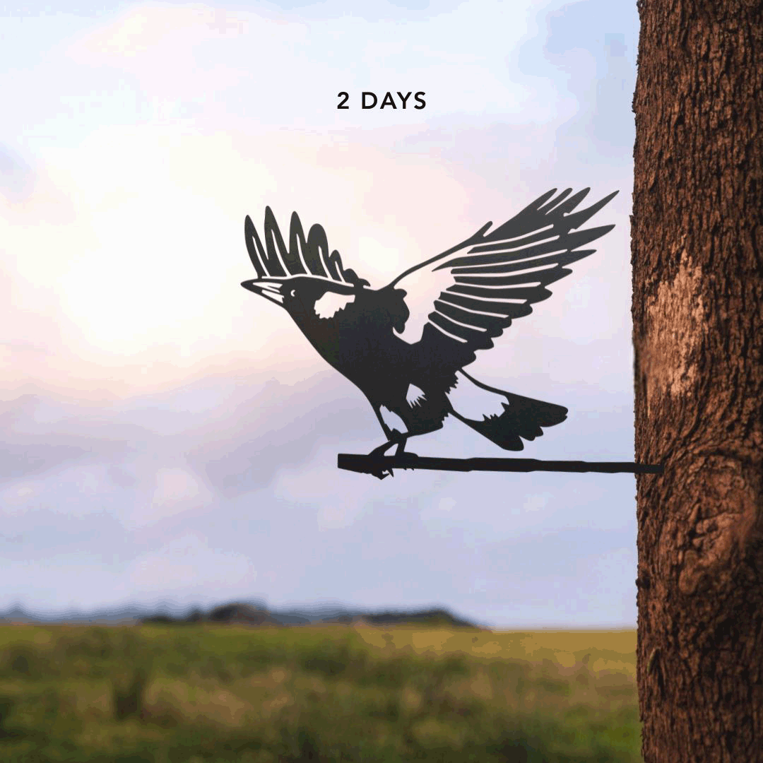 Magpie on the fly