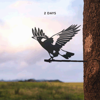 Magpie on the fly
