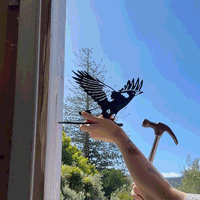 Magpie on the fly
