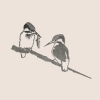 A black and white sketch of two kingfishers perched on a branch against light beige, inspired by Metalbird Australia - Seconds' "Metalbird Seconds - KINGFISHERS," each featuring unique metal bird imperfections. One bird preens while the other faces forward.