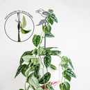 A hand holds a white hanging pot with a trailing plant, supported by the Metalbird Australia Kookaburra Plant Stake in premium gray. An inset shows an extender being added for extra height—elegant yard art for any garden.