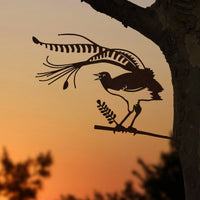 Lyrebird
