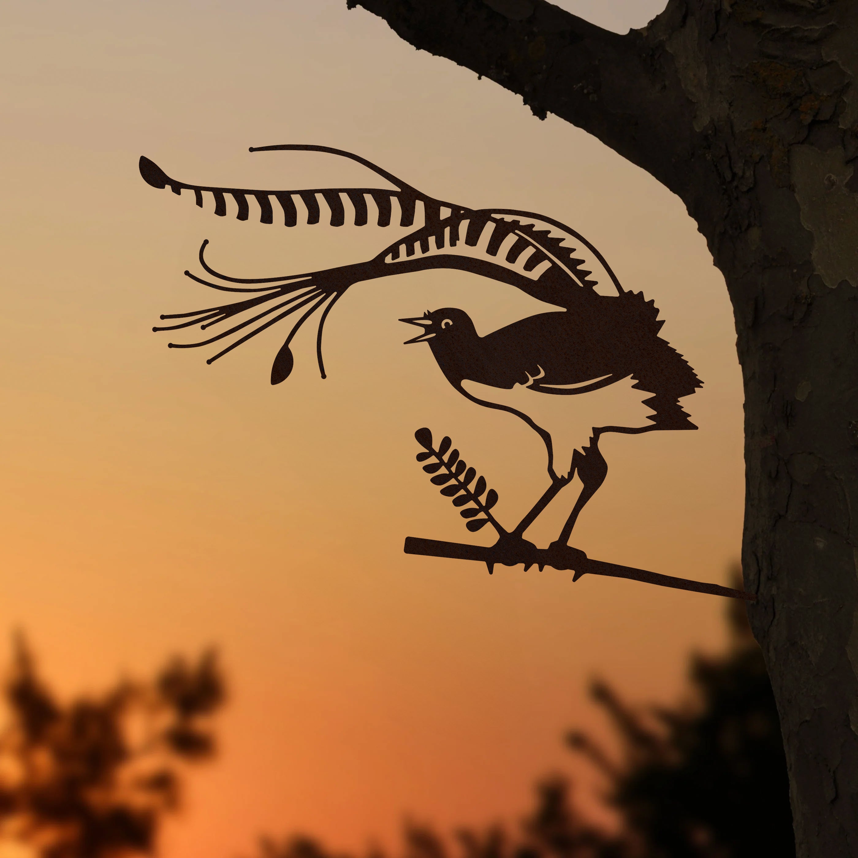 Lyrebird