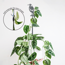 Magpie Plant Stake
