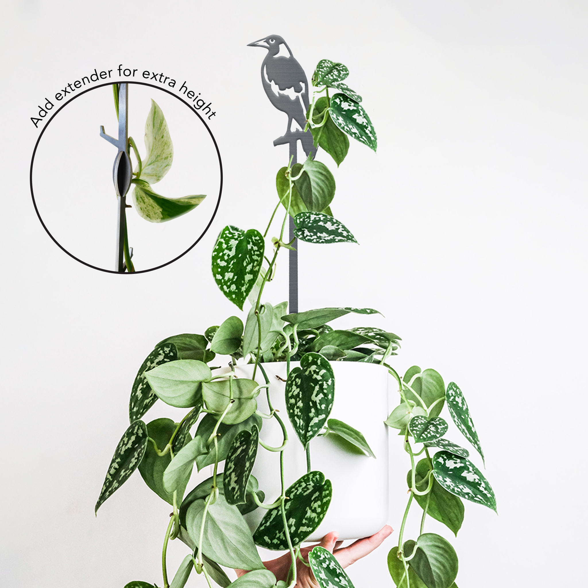 Magpie Plant Stake