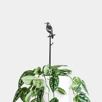 Magpie Plant Stake