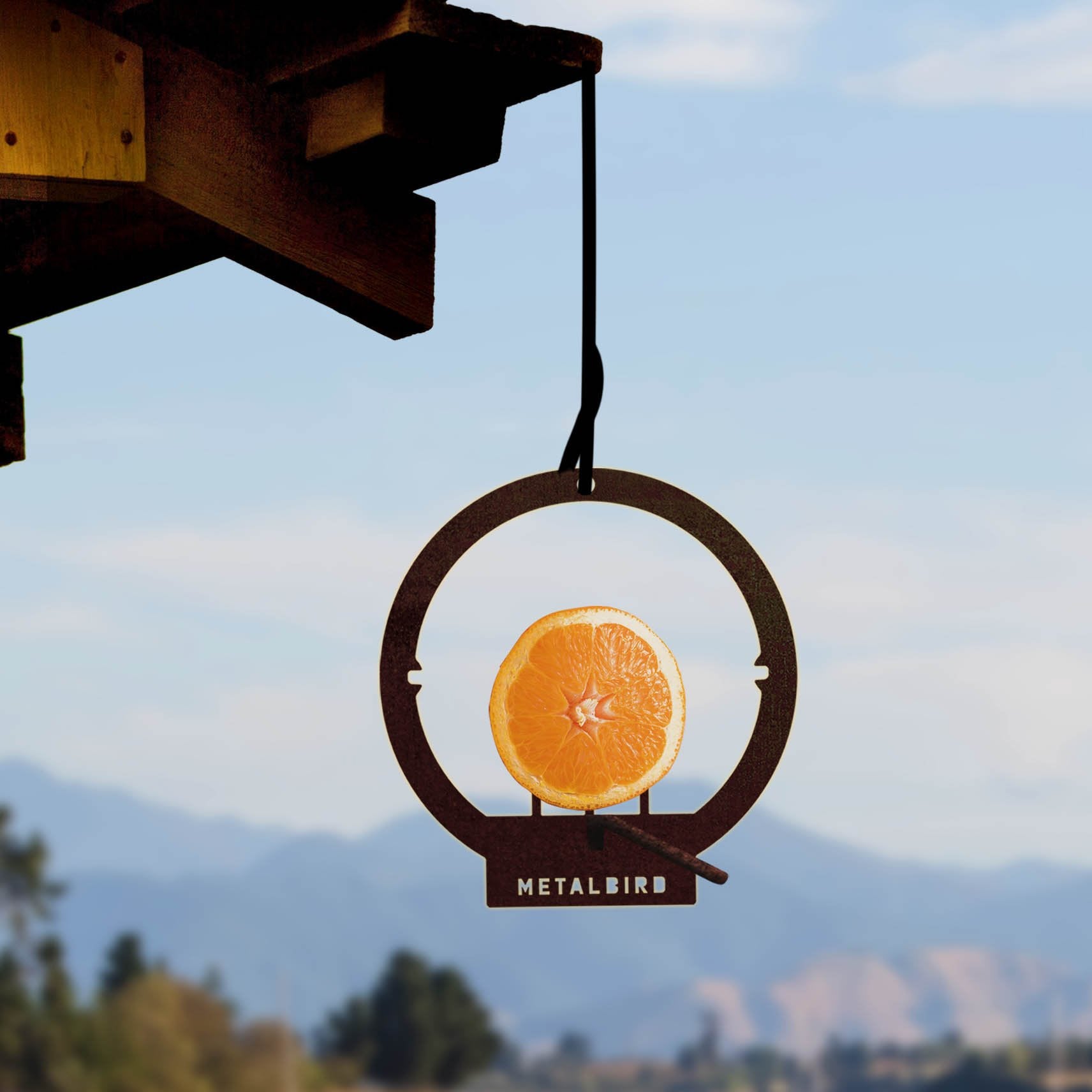 Hanging Bird Feeder