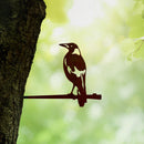 Magpie - Large