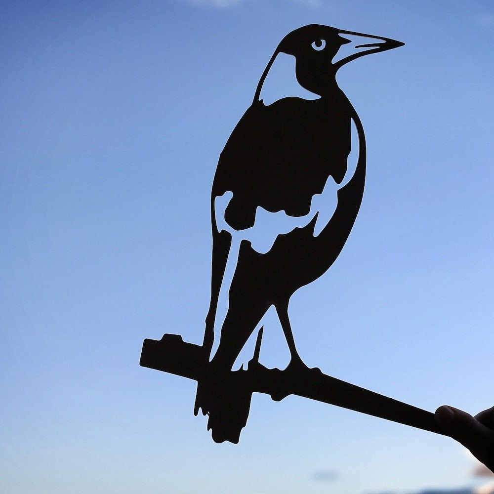 Magpie - Large