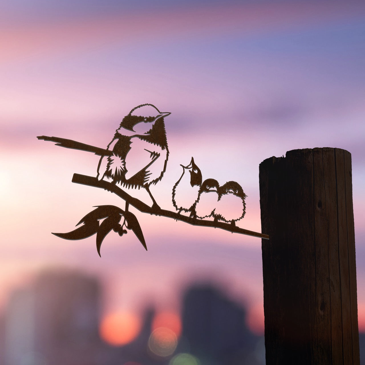 Blue Wren and Chicks