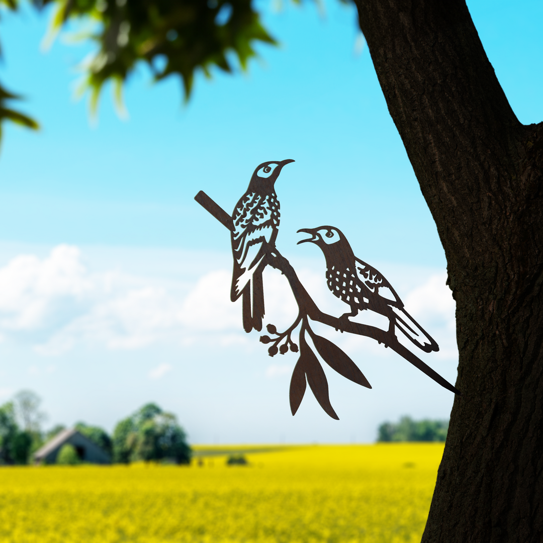 Regent Honeyeater