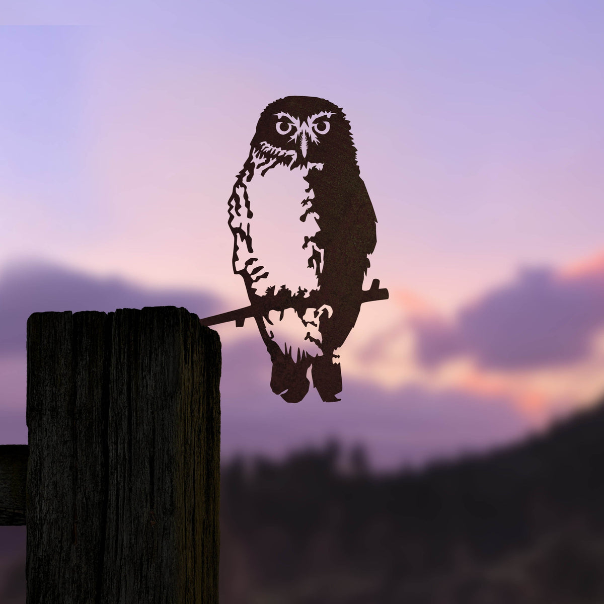 Southern Boobook Owl steel silhouette on a wooden fence post at dusk.