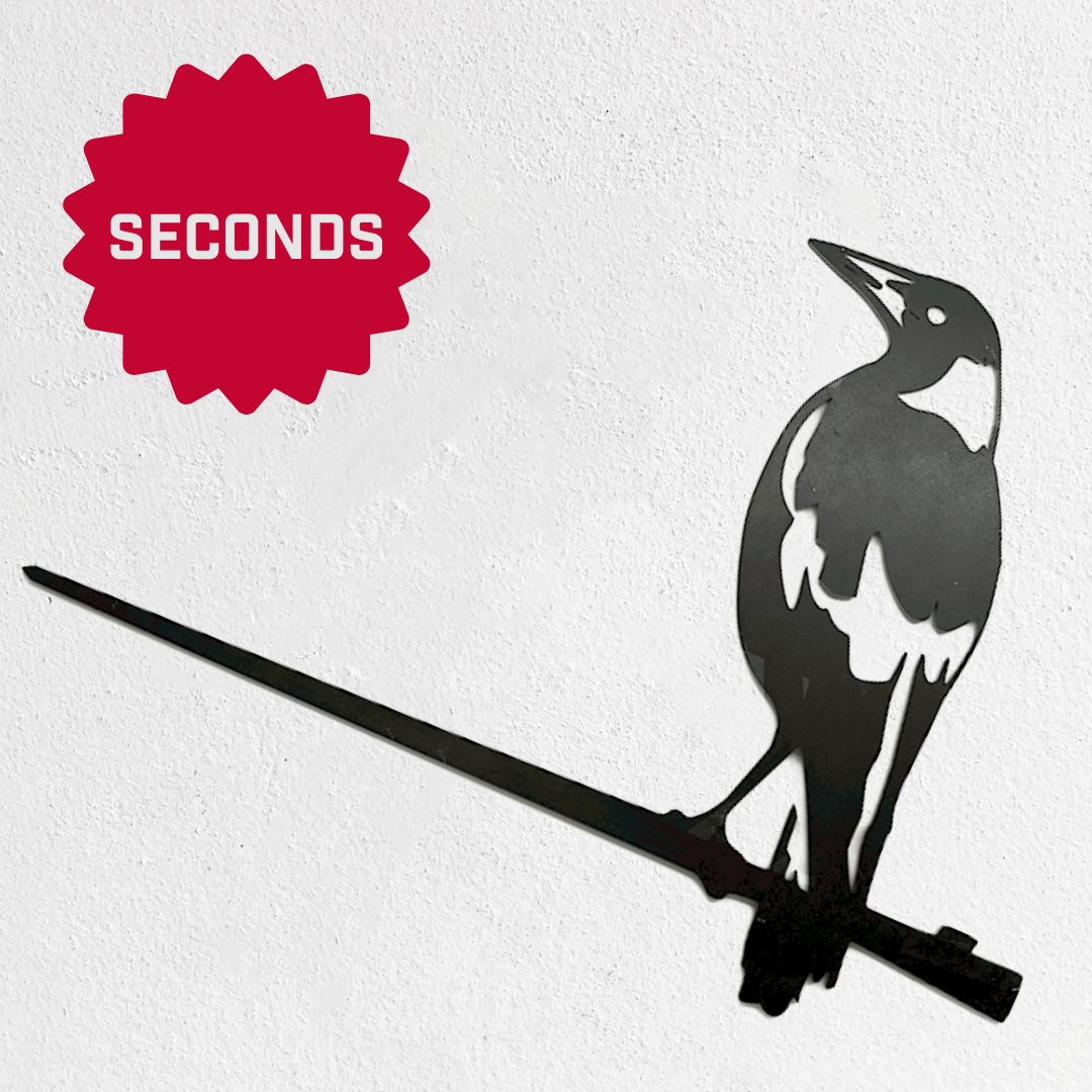 A black Metalbird Seconds - MAGPIE by Metalbird Australia - Seconds perches on a branch against a white wall, with a red "SECONDS" label—ideal for those seeking discounted metal birds.