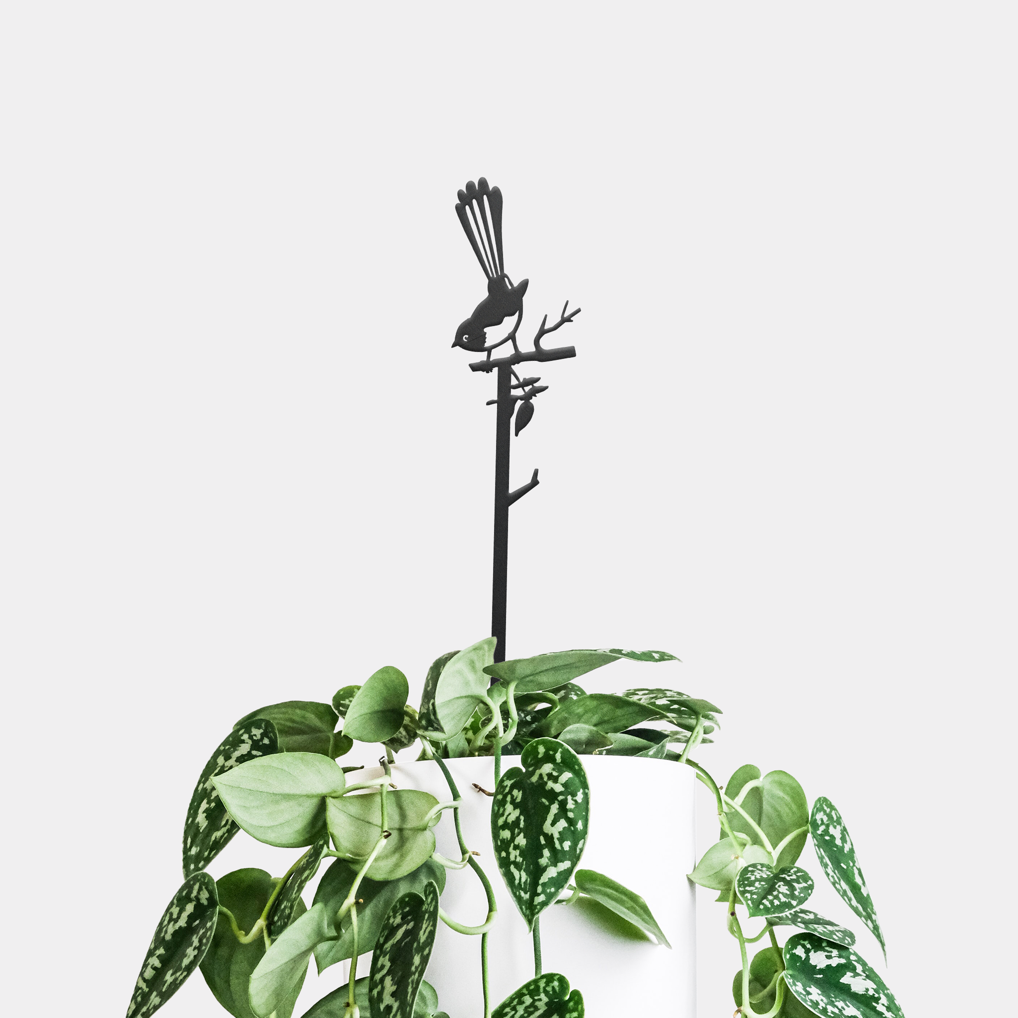 Willie Wagtail Plant Stake